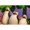 PINGÜI 9