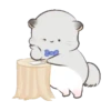SOFT mov. 21