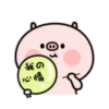 ️Pig and bird   MOV 19