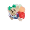 Puppy Love 2 Movi 20