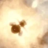 MOONFALL MOVIE.MOV 20
