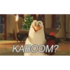 PINGÜI 11