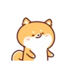 Shiba Inu Dogs (Mov) 27