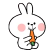 TENDER RABBIT 22