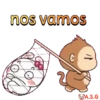 variados.OFC 18