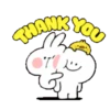 TENDER RABBIT 23