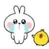 TENDER RABBIT 24
