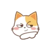 Orange Cat 2 19