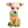 Puppy Love 2 Movi 23