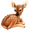 ANIMALES mov. 19