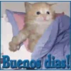 BUENOS DIAS 2 23