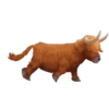 ANIMALES mov. 20
