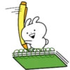 TENDER RABBIT 25