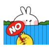 TENDER RABBIT 26