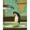 PINGÜI 14