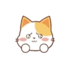 Orange Cat 2 22