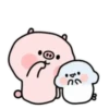 ️Pig and bird   MOV 23