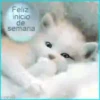 BUENOS DIAS 2 27