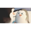 PINGÜI 15