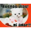 BUENOS DIAS 2 29