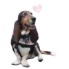 Puppy Love 2 Movi 26