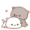 MOCHIS CAT Extra"C" MOV 22