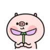 ️Pig and bird   MOV 24
