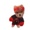 Puppy Love 2 Movi 29