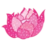 Flowers         (Mov) 5