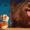 THE SECRET LIFE OF PETSMOV 6