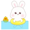 ️Kim bunny mix  MOV 6