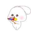 ️Kim bunny mix  MOV 7