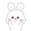 ️Kim bunny mix  MOV 8