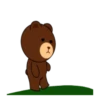 BROWN & FRIENDS "dero" 9