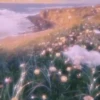 Aesthetic 2 5
