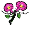 Flowers         (Mov) 7