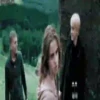 Harry Potter   Mov 7