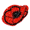 Flowers         (Mov) 8