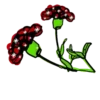 Flowers         (Mov) 10