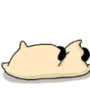 ️Milk dog   MOV 6