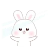 ️Kim bunny mix  MOV 9