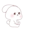 ️Kim bunny mix  MOV 10