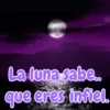 La luna sabe.. que eres infiel.