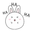 Couple of White Rabbit 5