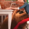 THE SECRET LIFE OF PETSMOV 11