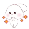 ️Kim bunny mix  MOV 11