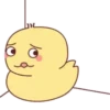 ️Pollo amarillito  MOV 9