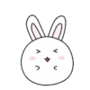 Couple of White Rabbit 7