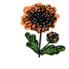 Flowers         (Mov) 14