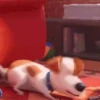 THE SECRET LIFE OF PETSMOV 14